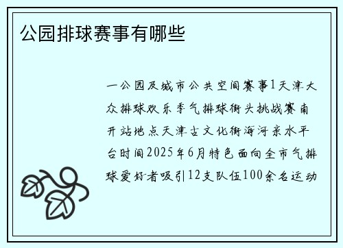 公园排球赛事有哪些